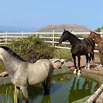 아파트 Eden's Retreat *